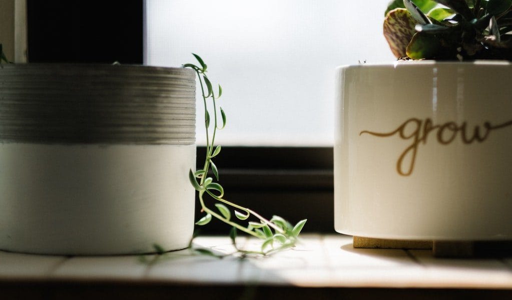 BAS Growing Business