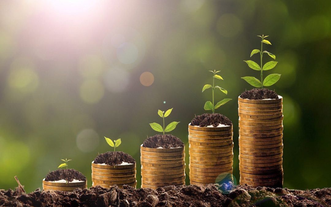 Understanding your P&L