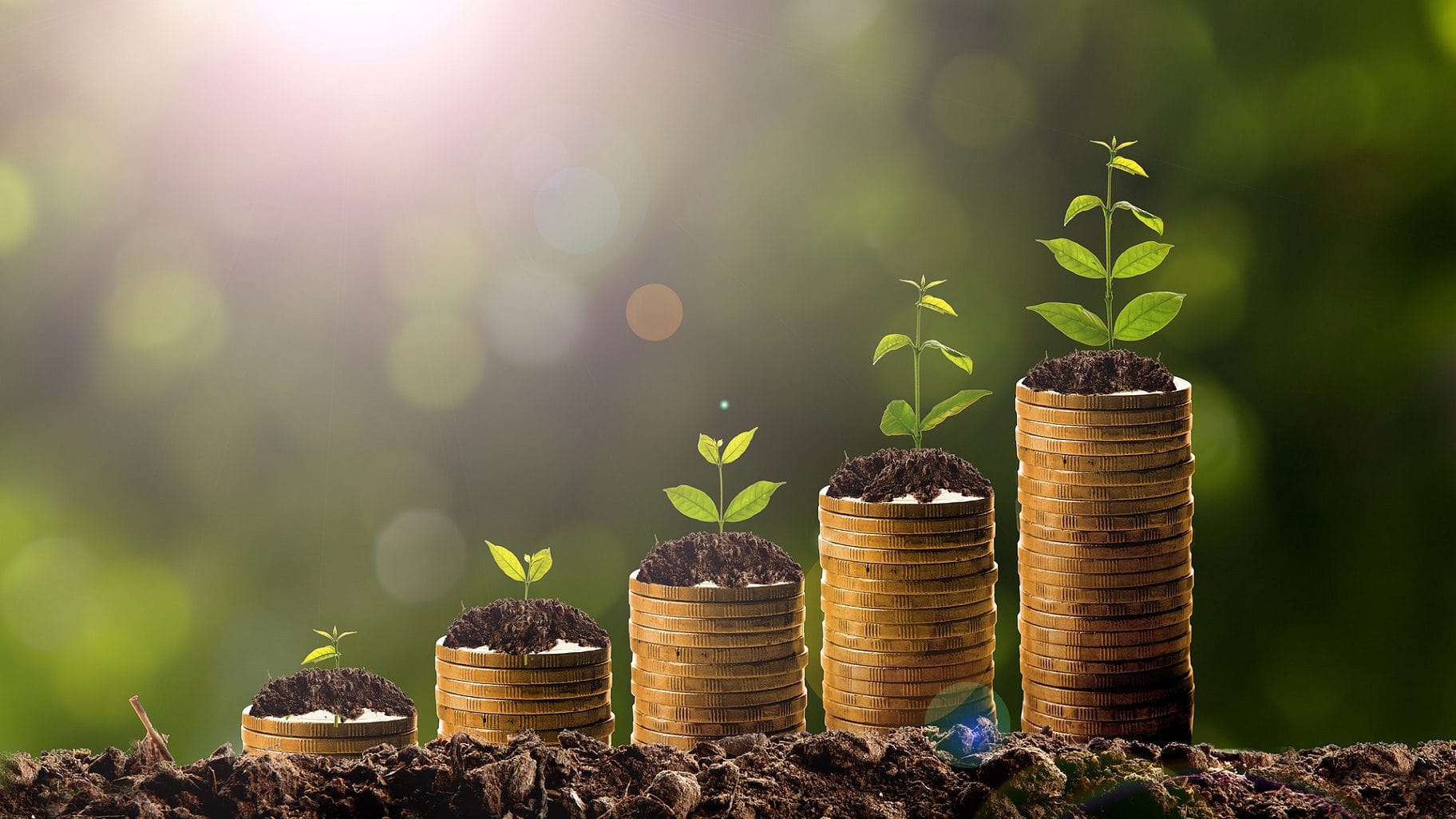 Understanding profit and loss report